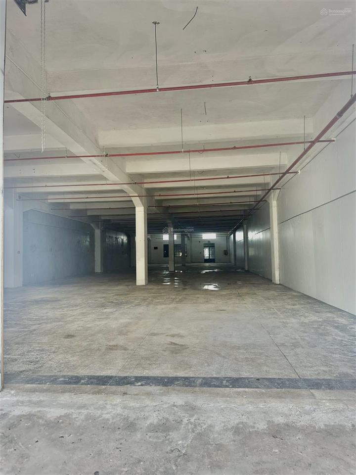 Xưởng siêu thích hợp cho mô hình sản xuất thực phẩm, điện tử, may mặc. pccc tự động, đường xe cont