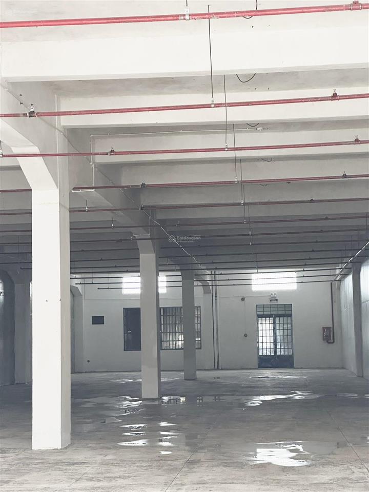 Xưởng siêu thích hợp cho mô hình sản xuất thực phẩm, điện tử, may mặc. pccc tự động, đường xe cont