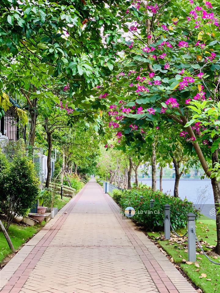 Chính chủ chuyển công tác cần bán gấp nhà phố lakeview city dt 5x20m nhà giao thô giá 18,5 tỷ