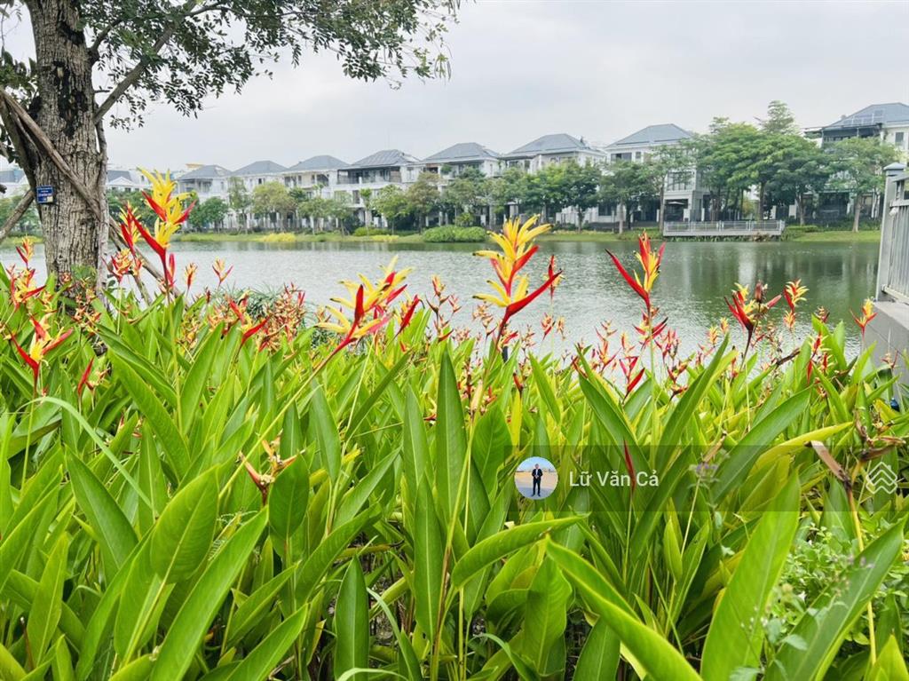 Nhà phố nguyên căn full nội thất đầy đủ 5 phòng ngủ kđt lakeview city, dt 5x20m 3 lầu giá 34 tr/th