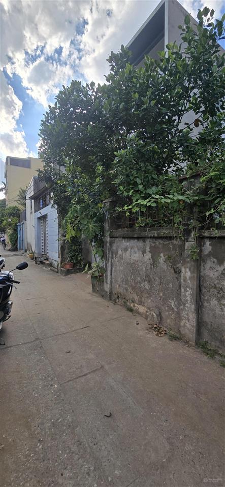 Chính chủ tôi bán đất tại xã dục tú, 3,95 tỷ, 80m2, mặt tiền 5,5m, ngõ 4m, pháp lý đầy đủ, đẹp!