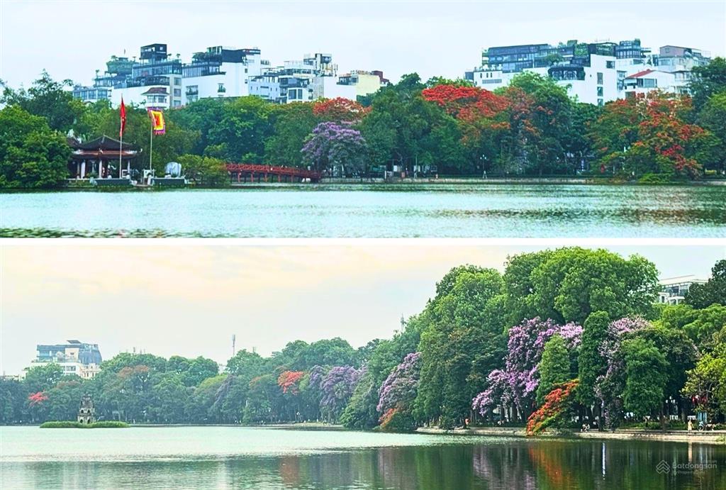 Mặt phố chợ đồng xuân, nhà 4 tầng lô góc, kinh doanh siêu đỉnh, 100m2. chào 1** tỷ/có tl.