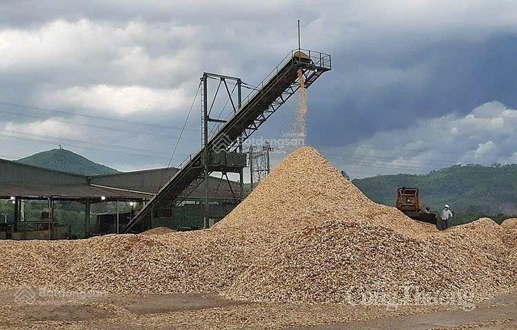 Cần bán 40.000m2 đất sxkd đó có sẵn nhà xưởng sản xuất gỗ, ván ép, và viên nén năng lượng đà nẵng