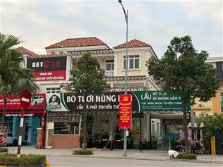 Bán biệt thự đường đôi trục chính kđt nam an khánh, giá chỉ 68 tỷ, 295m2, giá cực chất