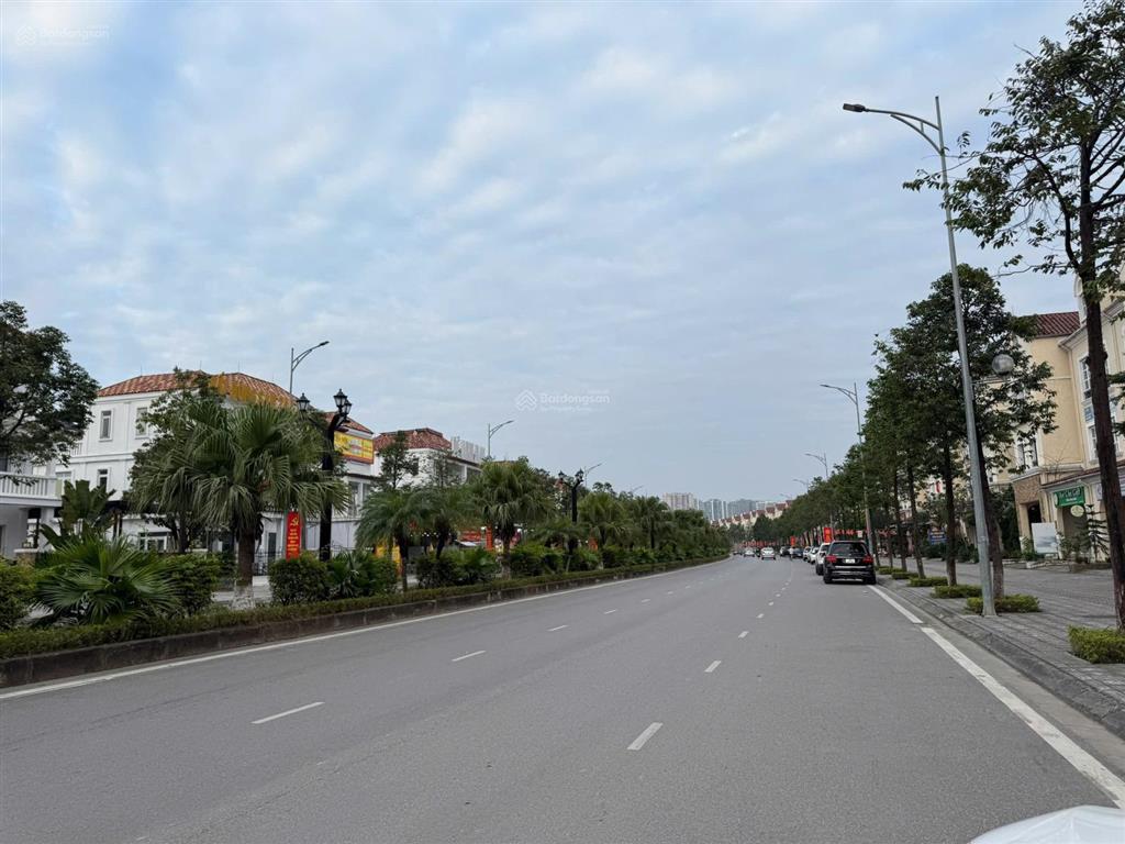 Bán biệt thự đường đôi trục chính kđt nam an khánh, giá chỉ 68 tỷ, 295m2, giá cực chất