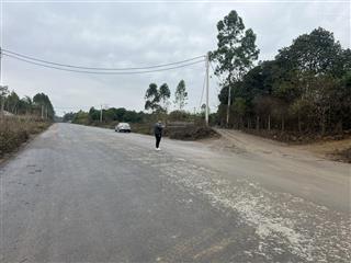 Bán đất 2 mặt tiền diện tích 1ha  phù ninh phú thọ