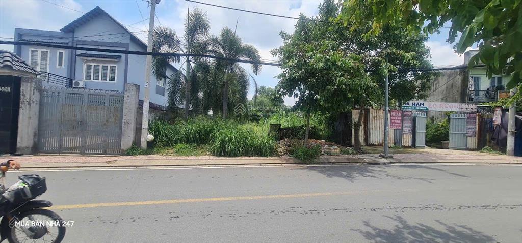 Hiếm hót, đất mặt tiền 463m2 full thổ. bán gấp, giảm tới đáy, giá siêu rẻ