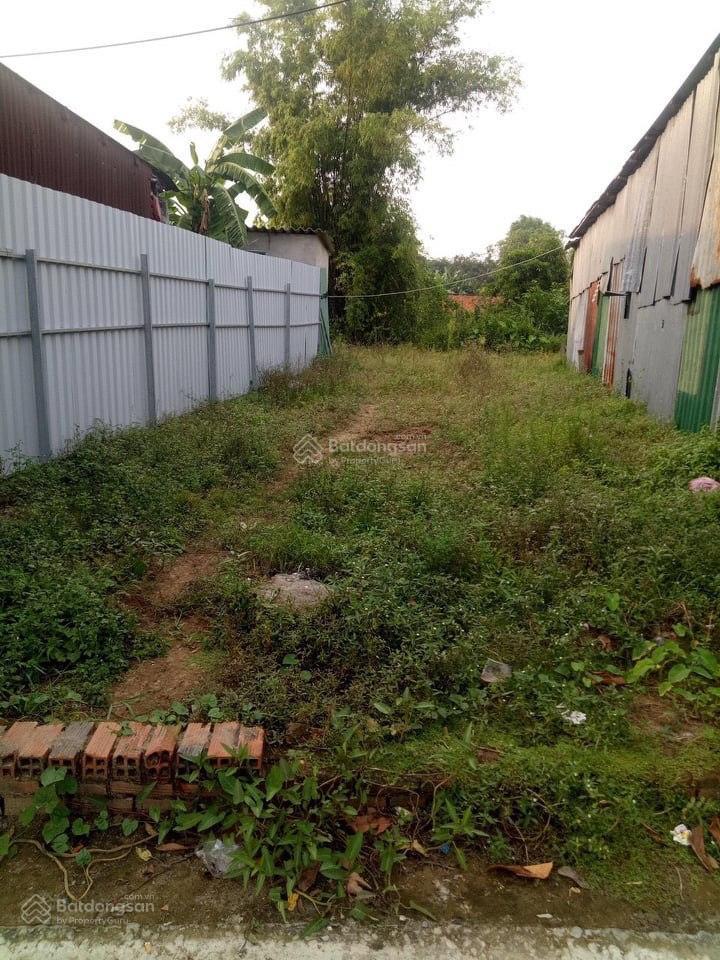 Đất thổ chính chủ tại đoàn nguyễn tuấn, tân quý tây, bình chánh, 2,88 tỷ, 170m2