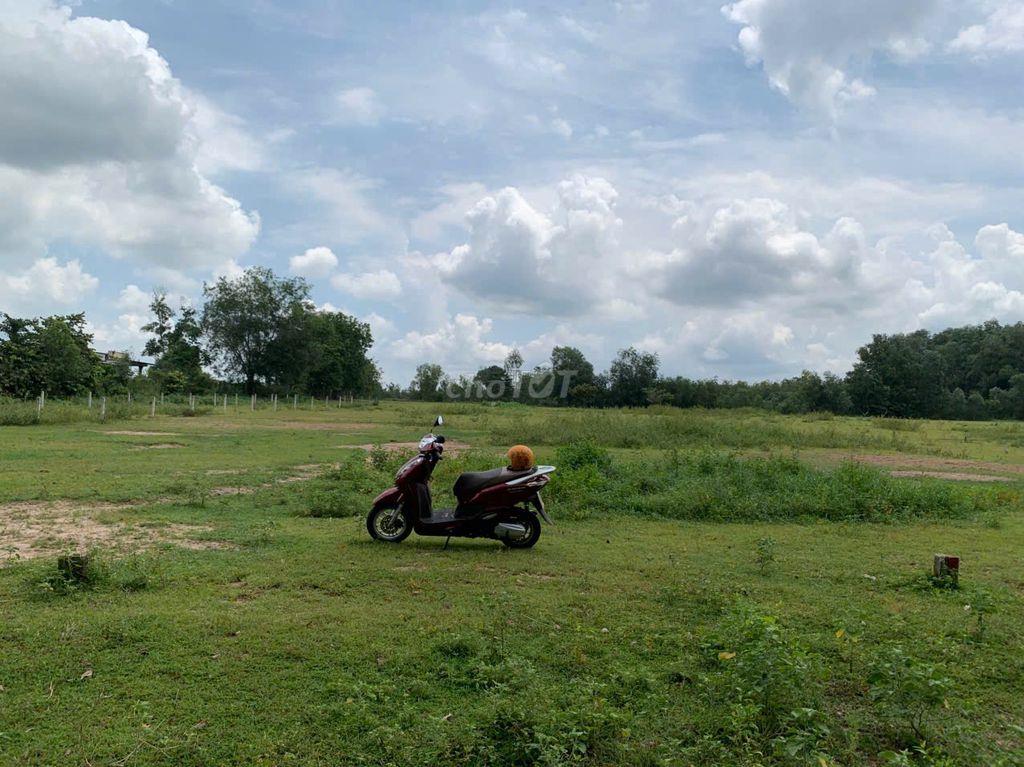 Cần bán gấp lô đất nhà vườn Dầu Tiếng Bình Dương (Sổ hồng riêng)