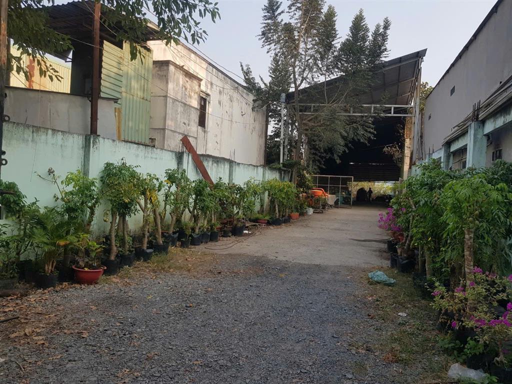 CẦN BÁN 176M2 ĐẤT VƯỜN DÂN CƯ HIỆN HỮU LÊN ĐƯỢC THỔ CƯ MT DƯƠNG ĐÌNH CÚC