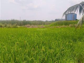 Chính chủ bán nhanh lô đất 4.000m2 ngay bệnh viện nhi đồng tphcm  chỉ 4 tỷ/công