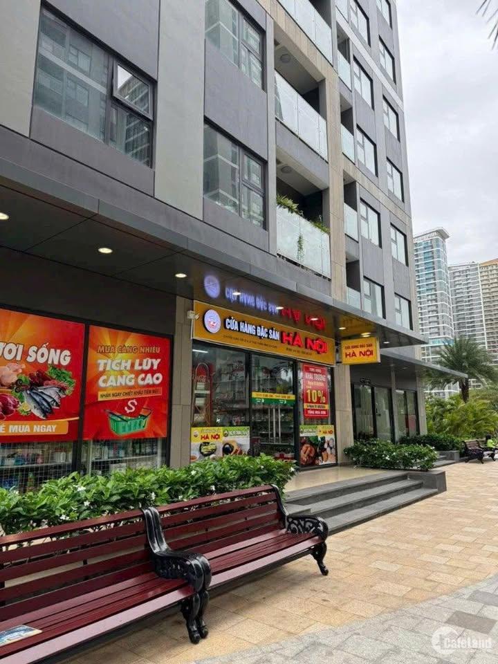 Nắm full giỏ hàng cho thuê shophouse khối đế chung cư tại vinhomes grand park cập nhật mới nhất