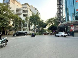 Bán đất phân lô trần thái tông, cầu giấy, dt 130m, mặt tiền rộng, độ hiếm cao, xây toà 10 tầng đỉnh