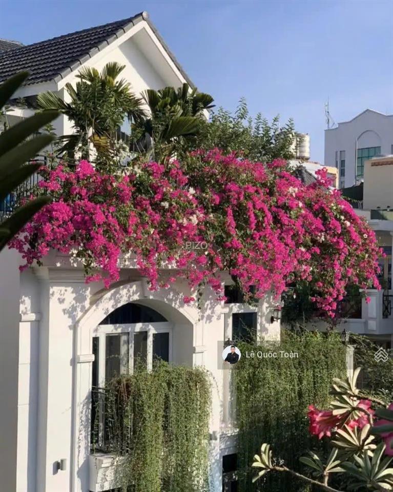 Đẳng cấp! khu compound nguyễn trọng tuyển, tb. góc 2 mặt, ngang to 8x22m175m2, 4 tầng chỉ 65 tỷ tl