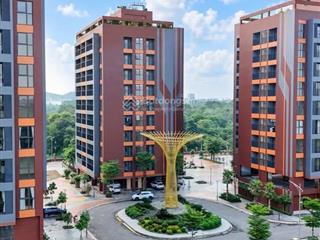 Tối ưu đầu tư với căn hộ "quốc dân" 1 phòng ngủ tại legacy alpha valley.