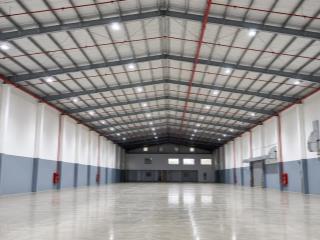 Chính chủ cho thuê xưởng vĩnh phú. dt 1100m/65tr