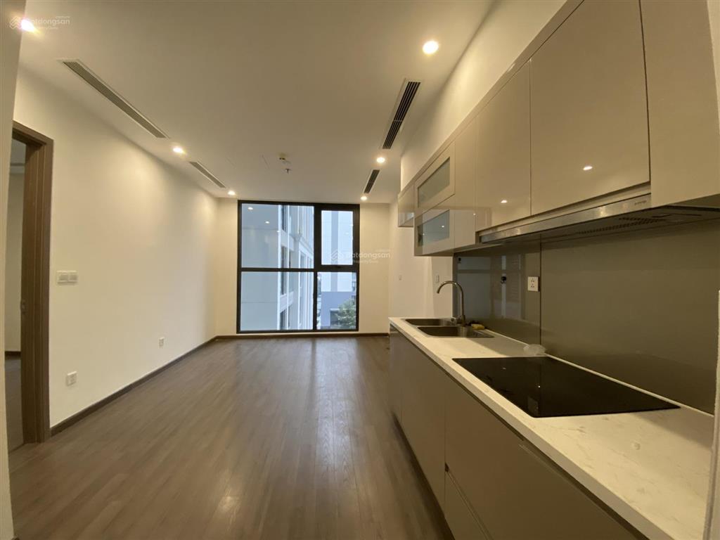 Cho thuê căn hộ 1pn vinhomes symphony, dt 38.7m2 vinhomes symphony, giá tốt