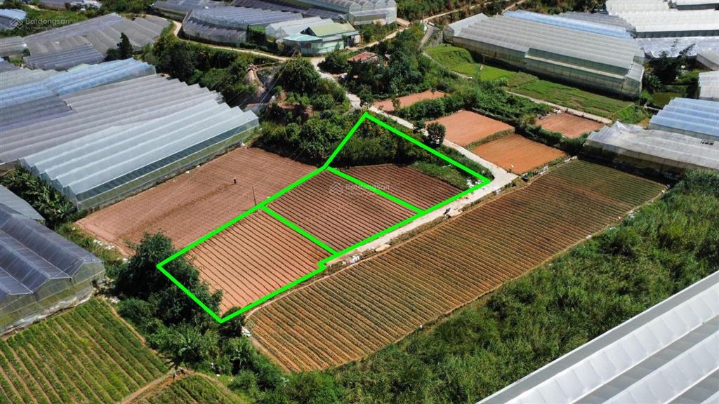 2,05 tỷ  636,82 m², phường 5, tp đà lạt, sổ riêng