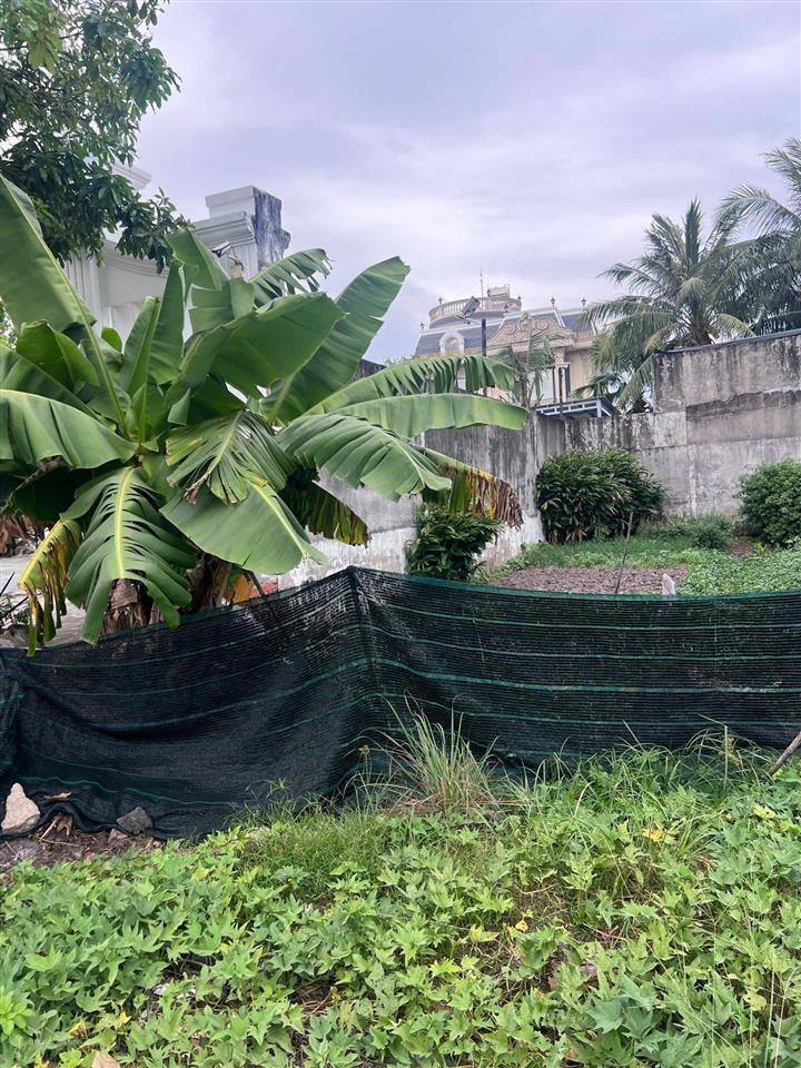 Đất gần kcn tân phú trung, củ chi, tp hcm. 2t250.