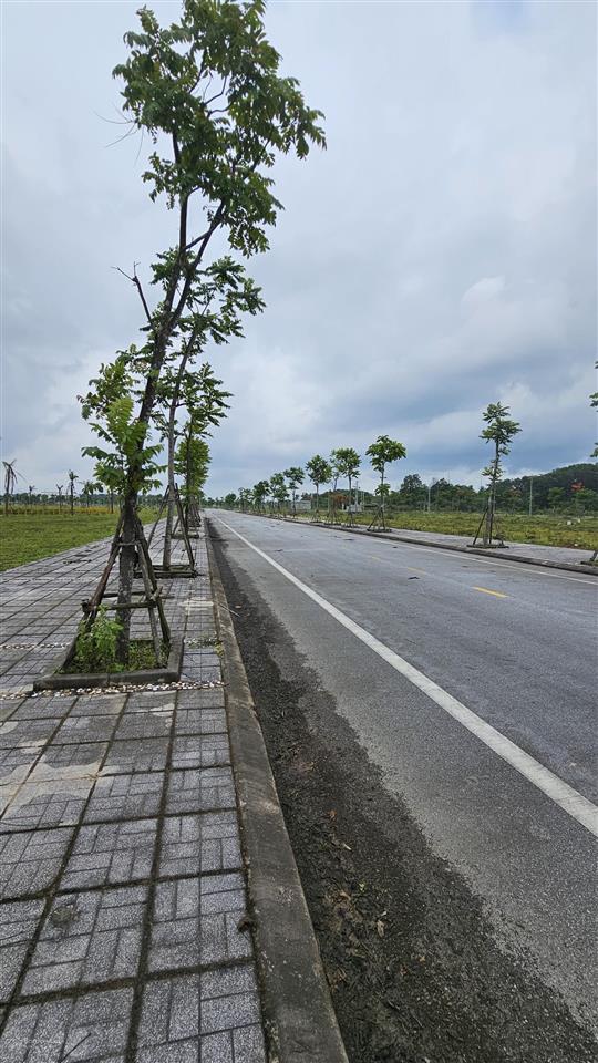Bán nhanh 1 ô mặt hồ siêu đẹp và 1 ô khe thoáng. sẵn sổ giá thương lượng.