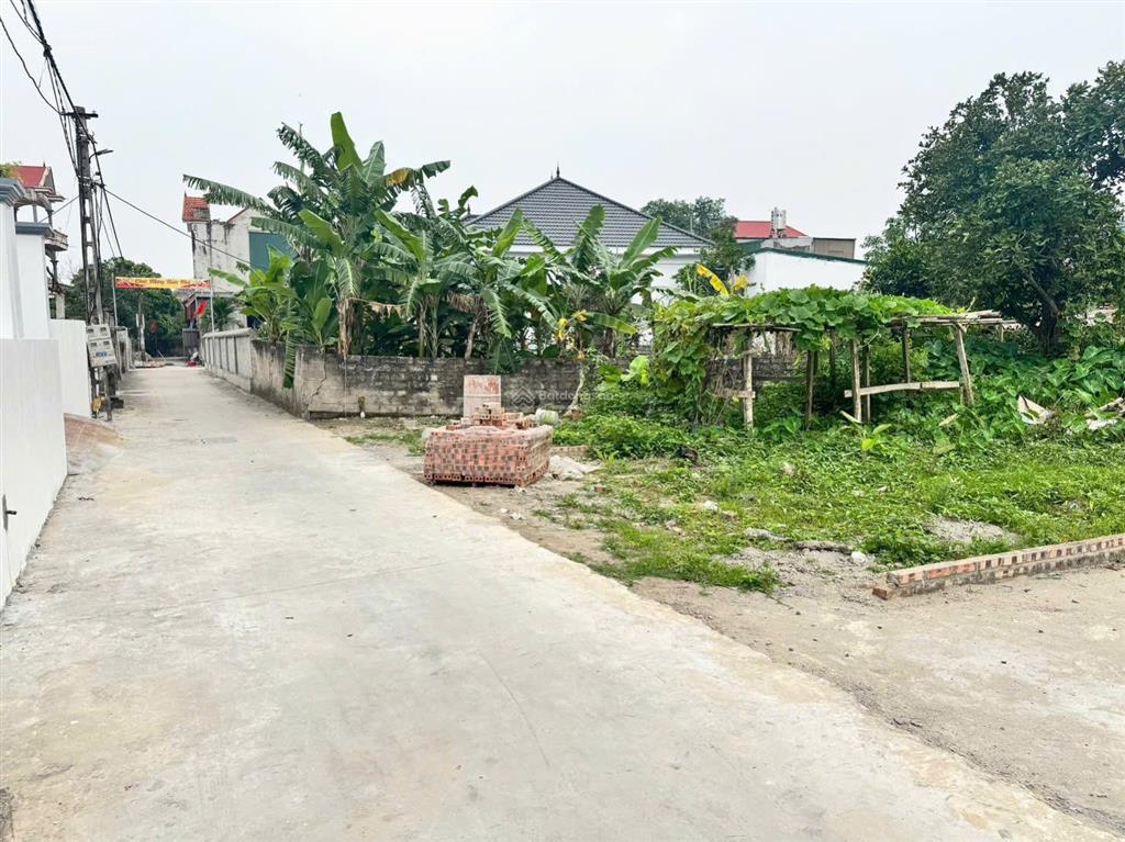 Bán đất dị chế tiên lữ hưng yên
