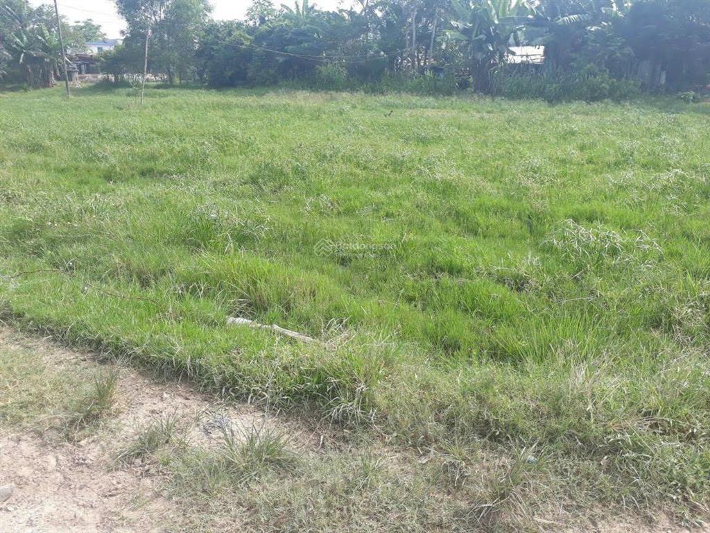 Chính chủ bán đất đường 67, tân phú trung dt 17x33m giá 4tr/m2