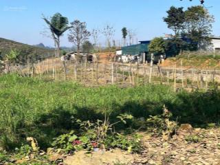 Đất vàng gần nút giao cao tốc sân godf đón sóng phát triển mộc châu sơn la