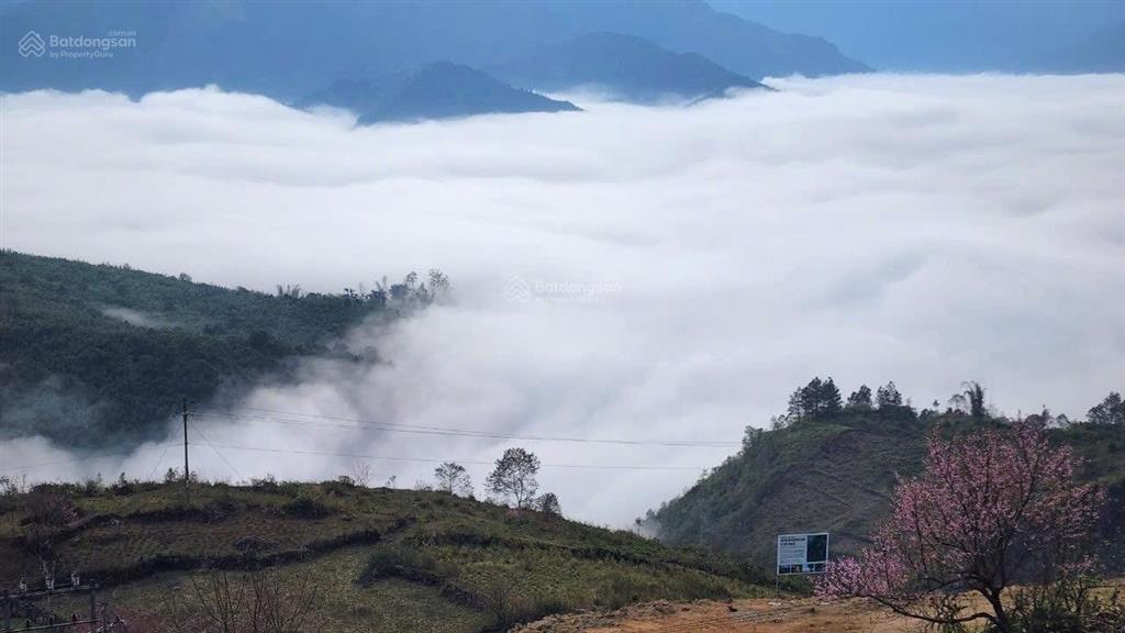 Chính chủ bán lô đất trung tâm y tý lào cai giá rẻ