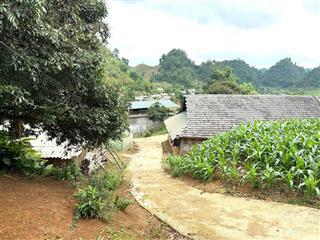 Bán đất tặng nhà sàn và các loại cây ăn quả tại mộc châu sơn la