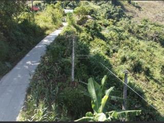 Chính chủ cần bán lô đất trục chính quốc lộ 43 chiềng khoa ngay nút giao cao tốc