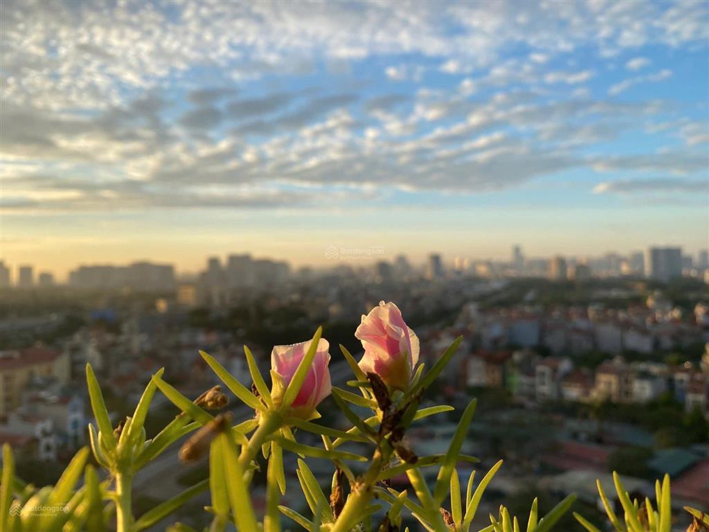 Căn góc hoa hậu 162,4m² handiresco xuân đỉnh rộng hiếm có sổ đỏ sẵn giá tốt