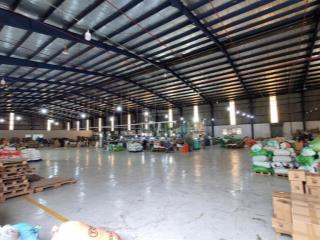 Cho thuê xưởng (3300m2  220tr) pccc  xe cont  trạm điện  văn phòng