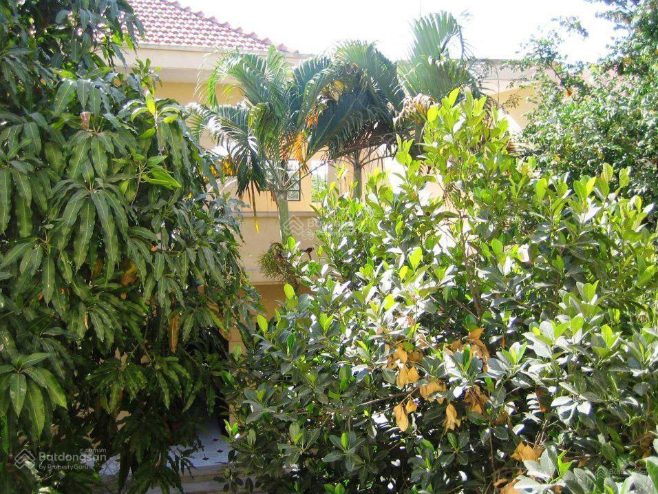 (hot)dt khủng 9x25m225m2 (nhà 3 tầng 400m2 sàn) có sân vườn hxh phạm văn haichỉ 108t/m224 tỷ tl