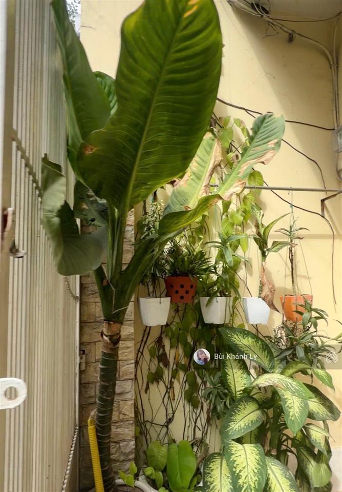 Hẻm xe hơi 7m phan đình phùng  cô bắc  thông khuvip phan xích long
3 tầng