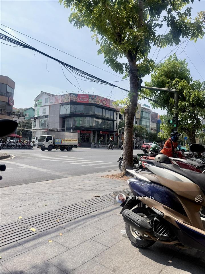 Biệt thự khu vip mặt tiền hoa đào, khu vip phan xích long, 150m, ngang lớn 8m, có hầm thang máy