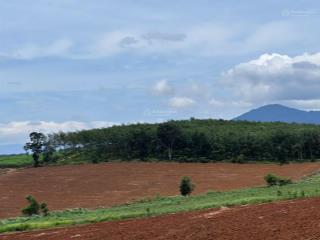 Bán 5ha đất đỏ tại xã ea bar, huyện sông hinh, phú yên