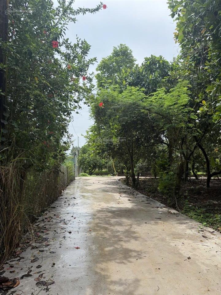 Bán đất phường bình lộc, tp đồng nai chỉ 899 triệu. gần chợ, kcn, kdl, dt 770b ngang 20m, dài 26m