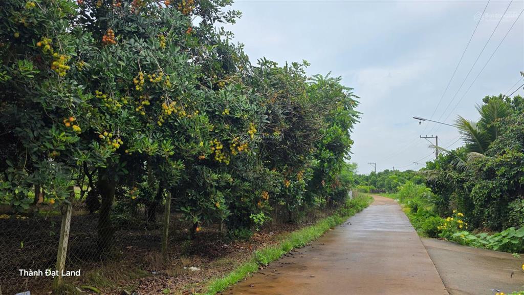 Bán đất phường bình lộc, tp đồng nai chỉ 899 triệu. gần chợ, kcn, kdl, dt 770b ngang 20m, dài 26m