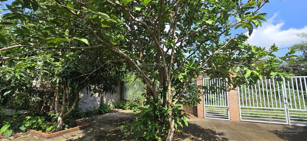 Giảm 500 triệu. bán gấp nhà vườn long khánh, đồng nai, 2 sào, nhà c4, đường ô tô cạnh nhựa, 2,3 tỷ