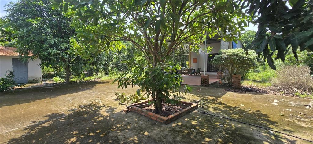 Giảm 500 triệu. bán gấp nhà vườn long khánh, đồng nai, 2 sào, nhà c4, đường ô tô cạnh nhựa, 2,3 tỷ