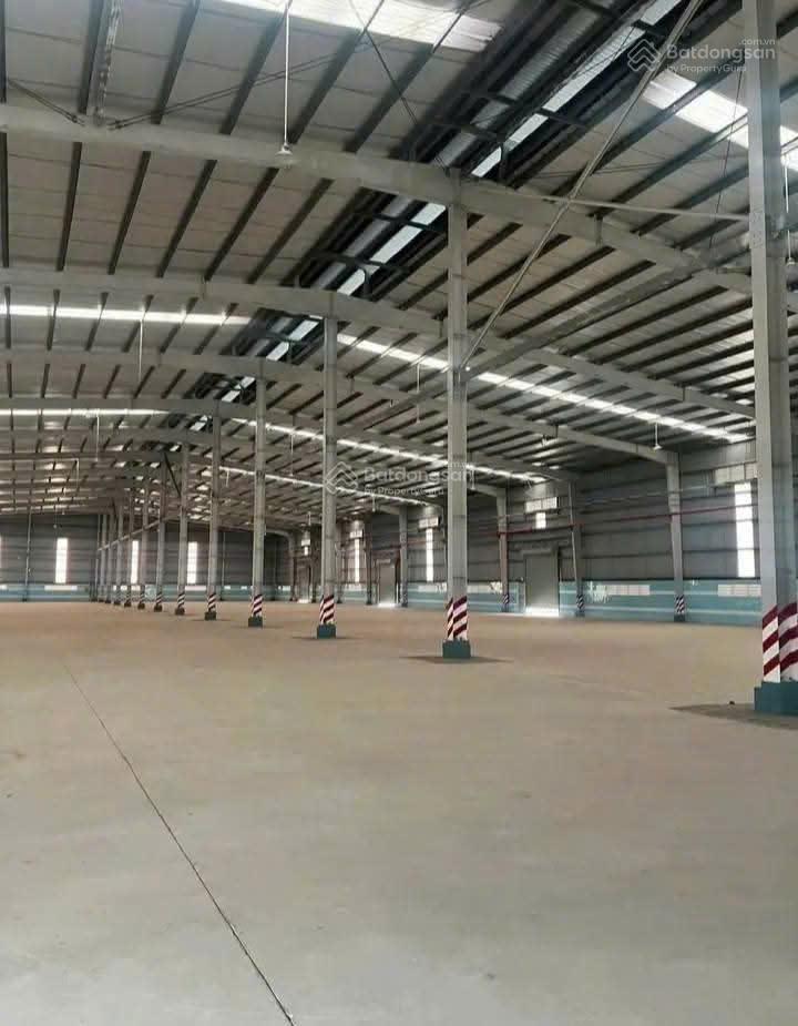 Cần cho thuê gấp kho xưởng 2000m2 mặt tiền dt 835 cần đước long an pccc tự động giá 100 tr/tháng