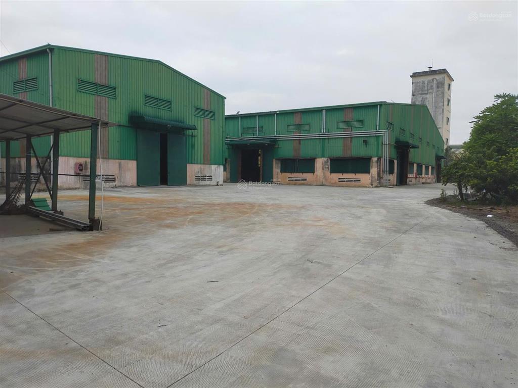 Chính chủ cho thuê xưởng 6.100m² tỉnh lộ 15, tân phú trung, củ chi giá 480 triệu/tháng
