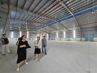 Cho thuê xưởng 3.300m2 tại kcn đức hòa, mỹ hạnh, tây ninh. giá từ 3.3 usd/m2