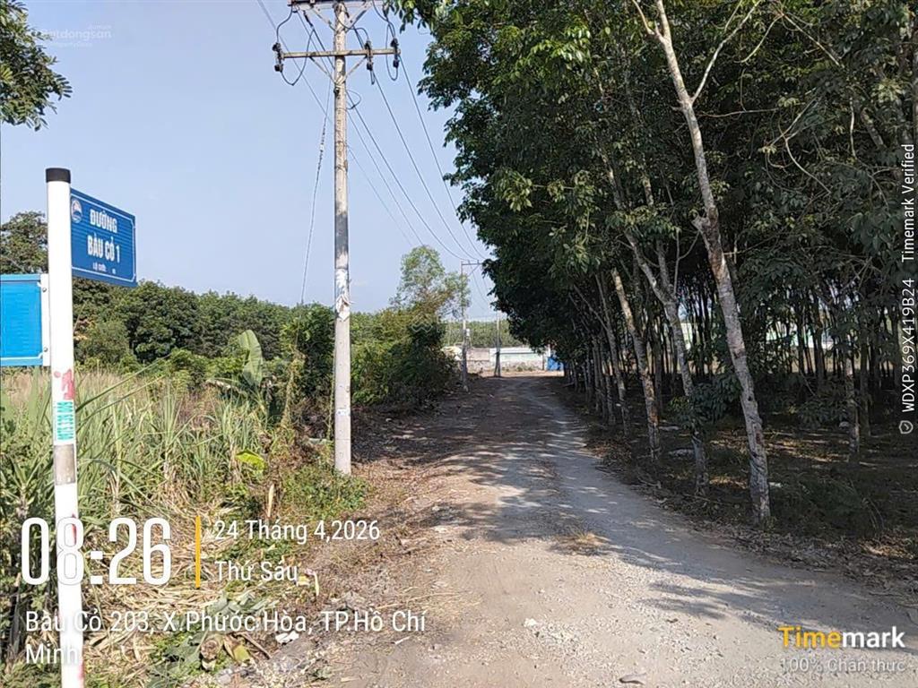Bán 5ha đất cao su phước hòa gần kcn tân bình, cách cao tốc 3km phù hợp làm nhà xưởng giá 35 tỷ