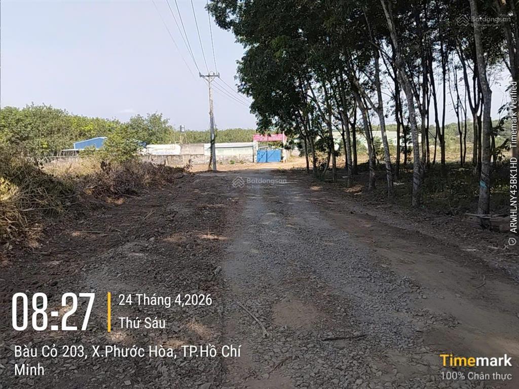 Bán 5ha đất cao su phước hòa gần kcn tân bình, cách cao tốc 3km phù hợp làm nhà xưởng giá 35 tỷ