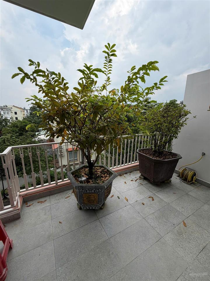 Cho thuê biệt thự phú mỹ hưng, khu mỹ thái 1, 55 triệu, 126m², 4pn, 4wc, nhiều tiện ích.