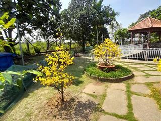 Sở hữu nhà vườn 1.830m² tại bình lợi, bình chánh, giá 8,5 tỷ