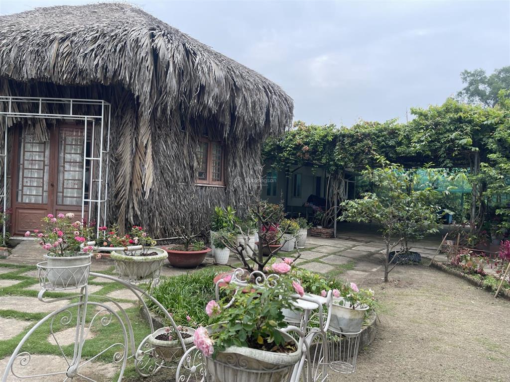 Sở hữu nhà vườn 1.830m² tại bình lợi, bình chánh, giá 8,5 tỷ