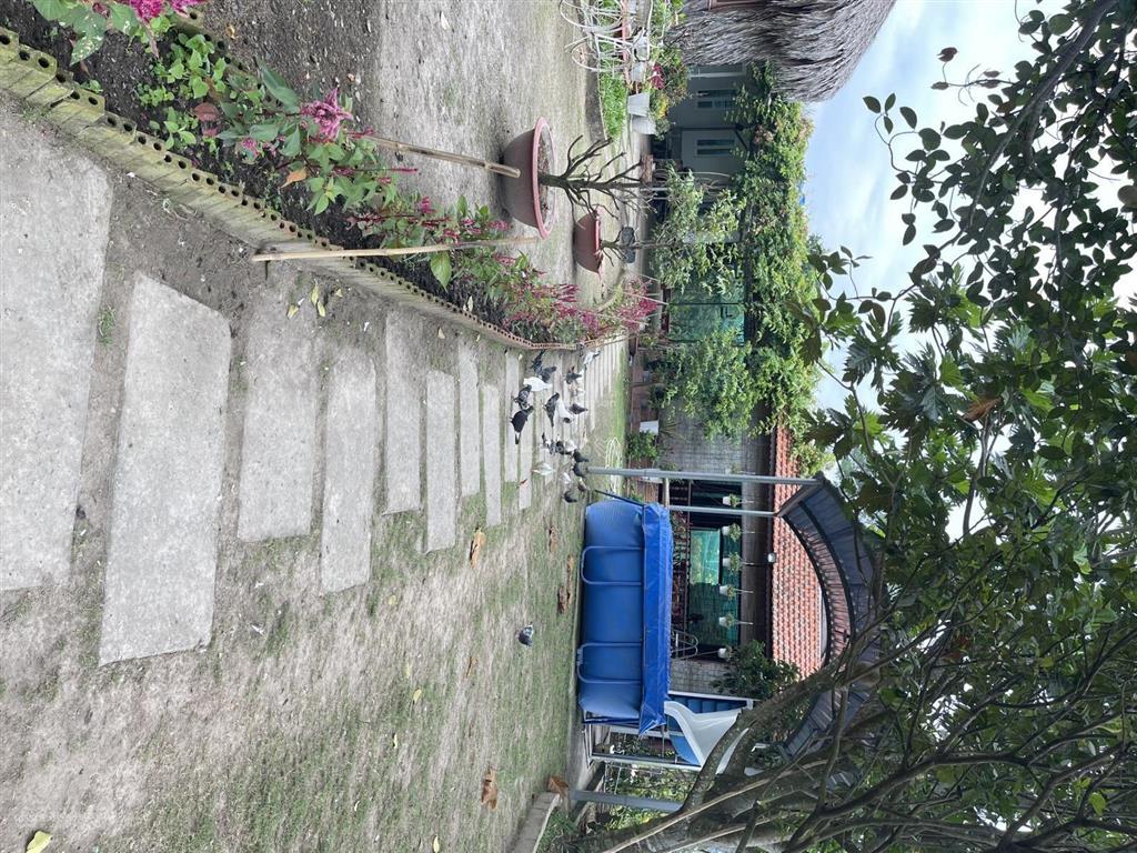 Sở hữu nhà vườn 1.830m² tại bình lợi, bình chánh, giá 8,5 tỷ