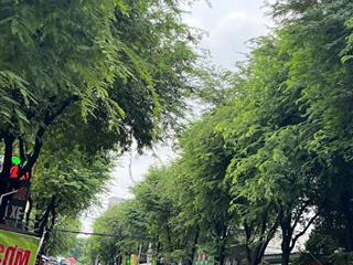 Mặt tiền kinh doanh ngay chợ, đường 4 linh xuânthủ đức, 112m2 ngang 5 vuông vức, full tc, 7,5 tỷ